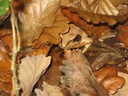 Photo 041.jpg