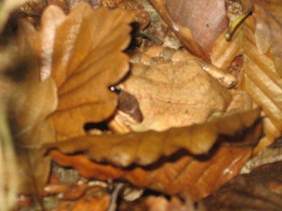 Photo 042.jpg