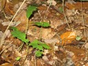 Photo 043.jpg