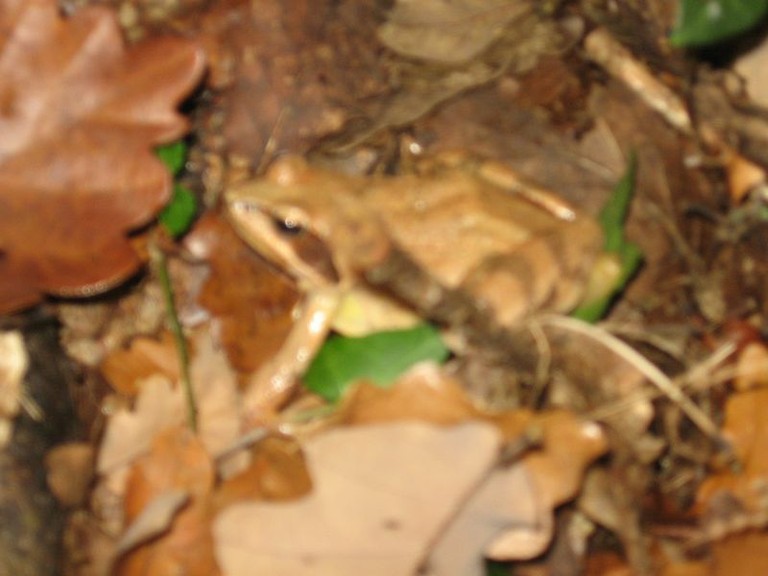 Photo 044.jpg