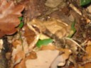 Photo 044.jpg