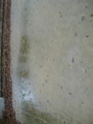 IMG_0325.JPG