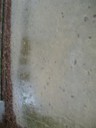 IMG_0325.JPG