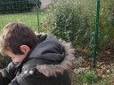 DSCN9769.JPG