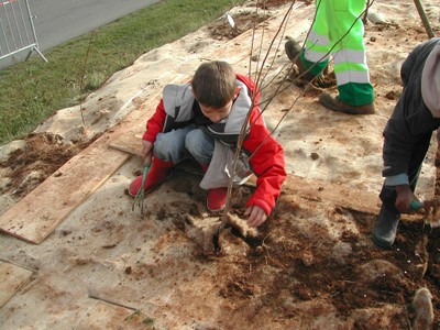 DSCN9771.JPG