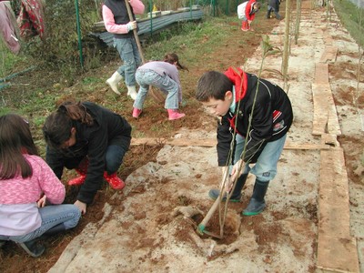 DSCN9774.JPG