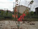 DSCN9787.JPG