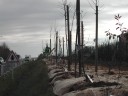 DSCN9788.JPG