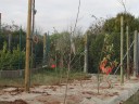 DSCN9789.JPG