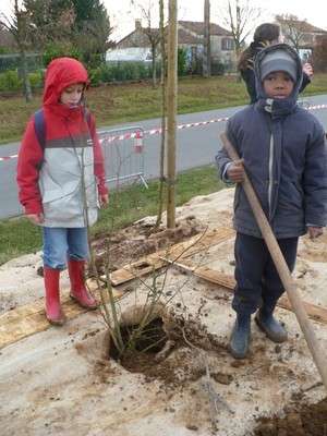 P1000600.JPG