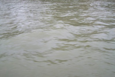 100_1386.JPG