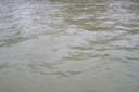 100_1386.JPG