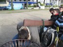 IMG_0414.JPG