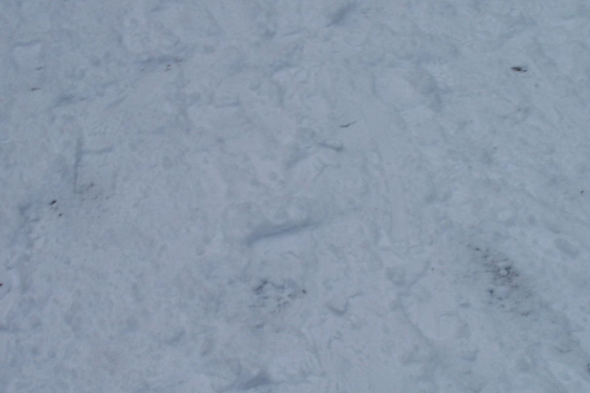 100_8919.JPG