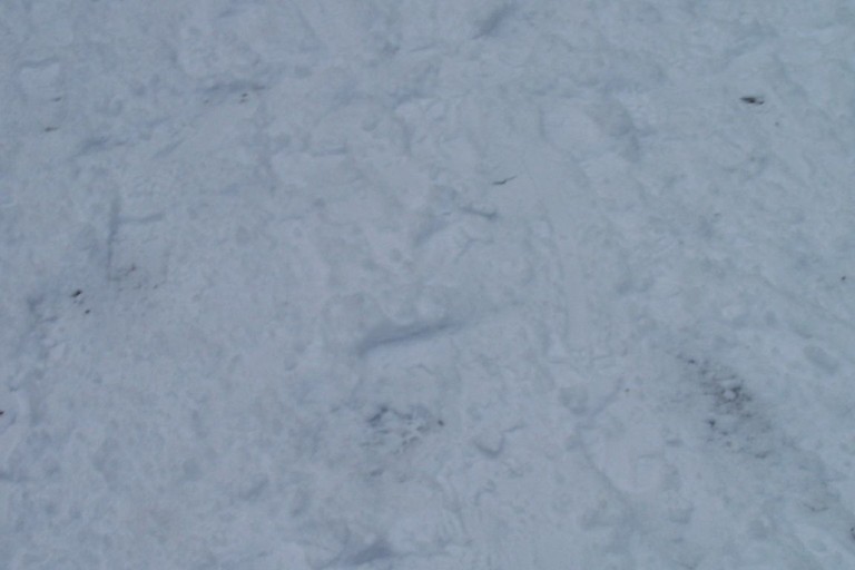 100_8919.JPG