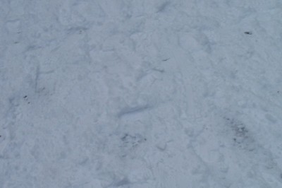100_8919.JPG