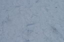100_8919.JPG