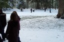 100_8935.JPG