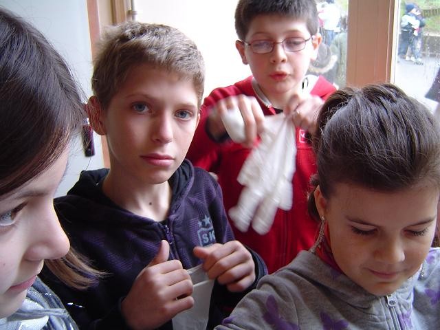 015.JPG