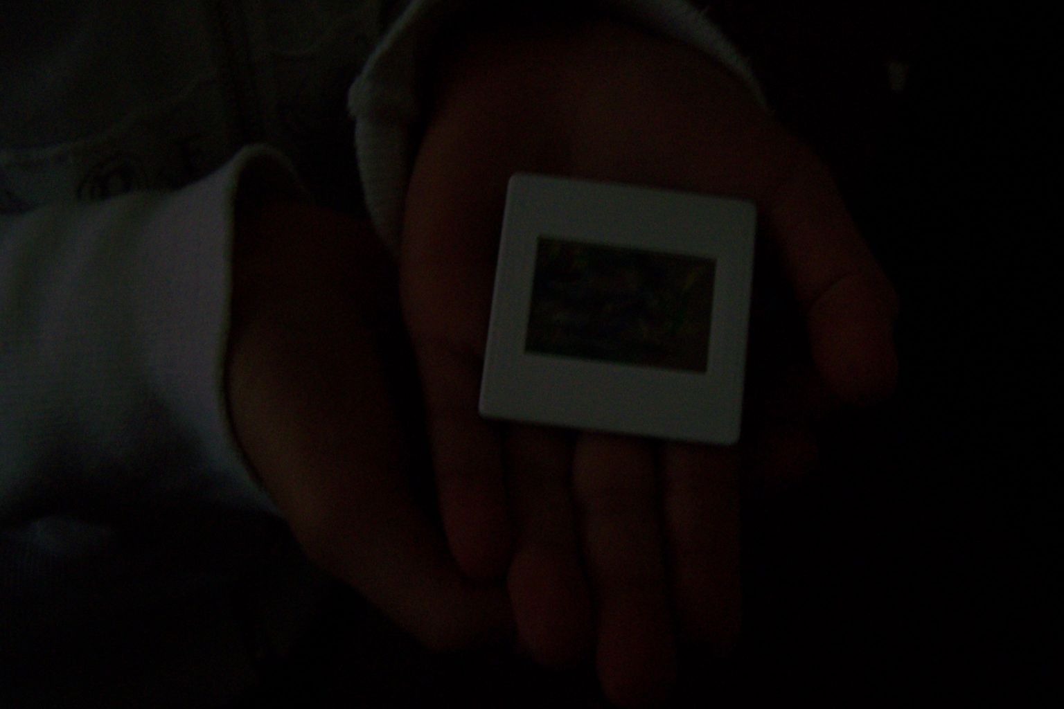 100_1590.jpg