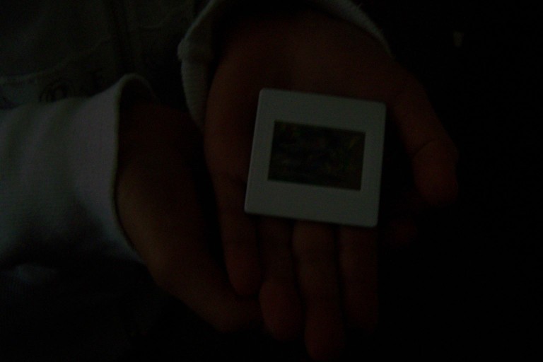 100_1590.jpg