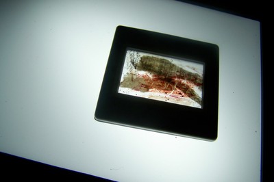 100_1592.jpg
