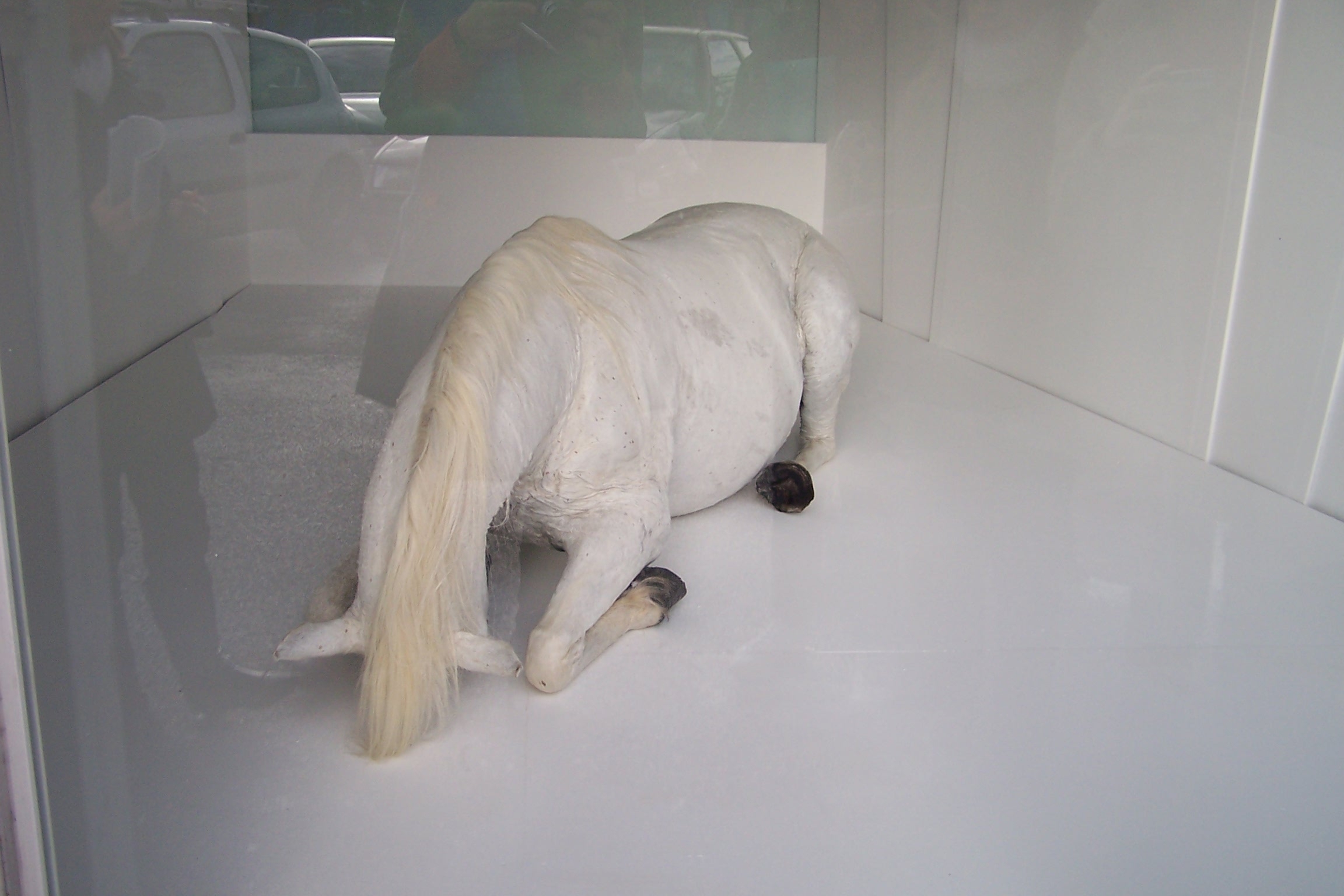 100_9024.JPG