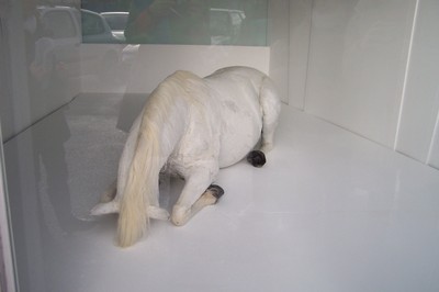 100_9024.JPG
