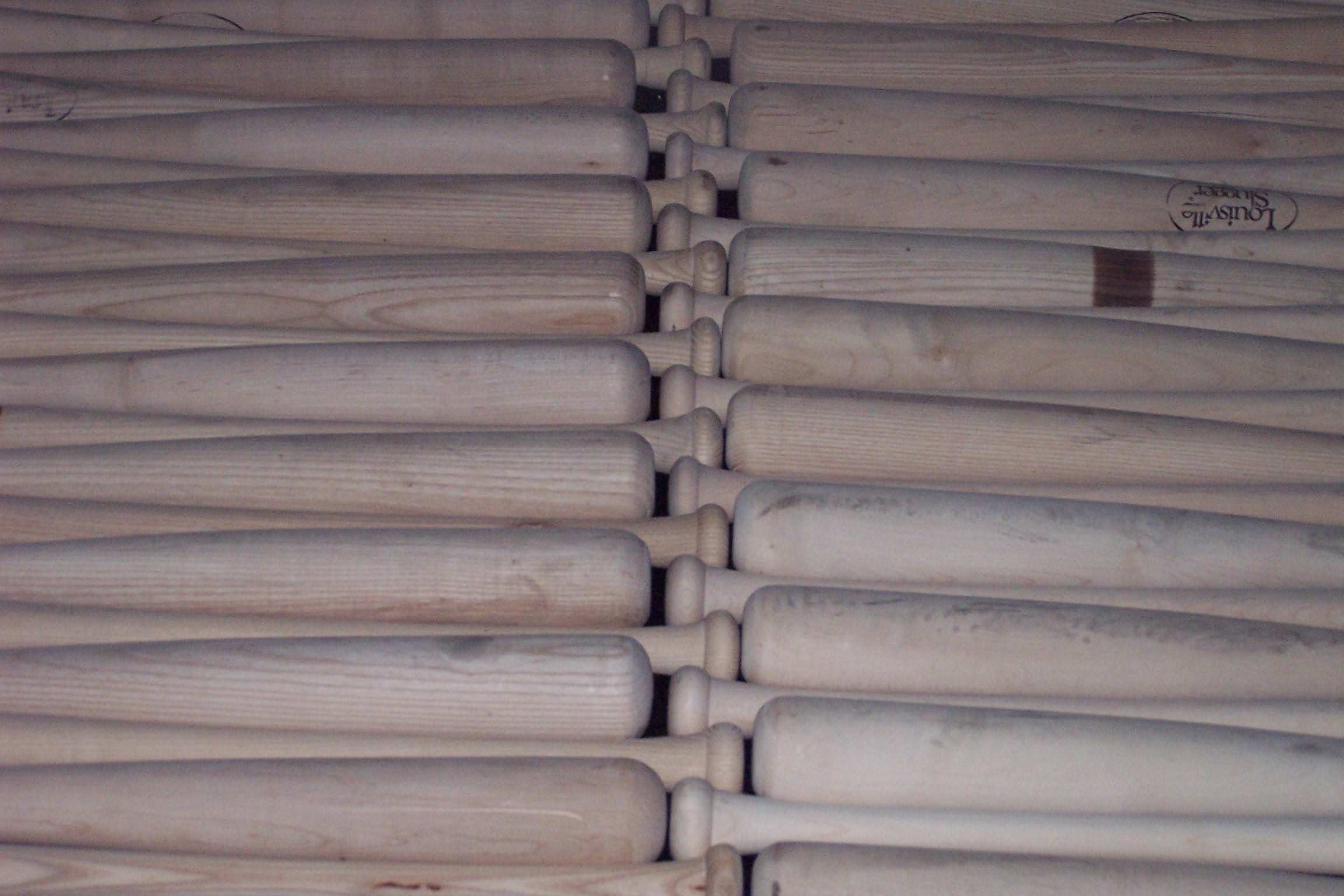 100_9032.JPG