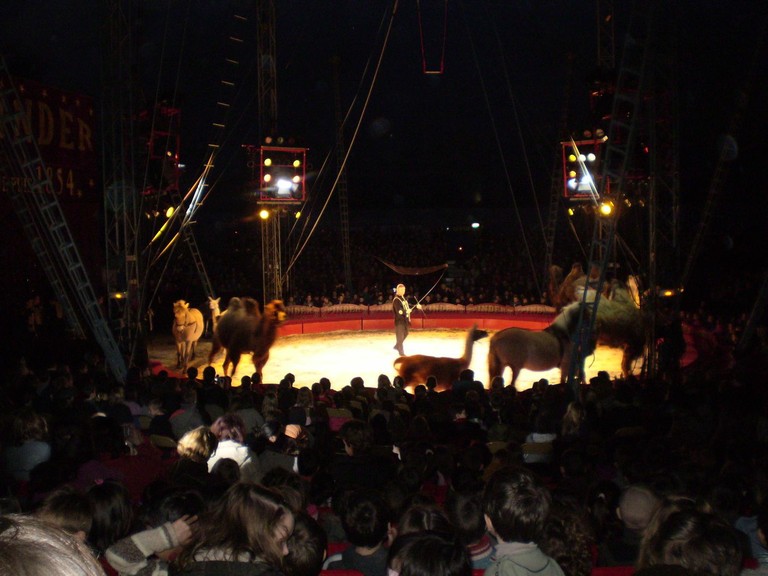 PB130129.JPG