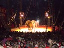 PB130133.JPG