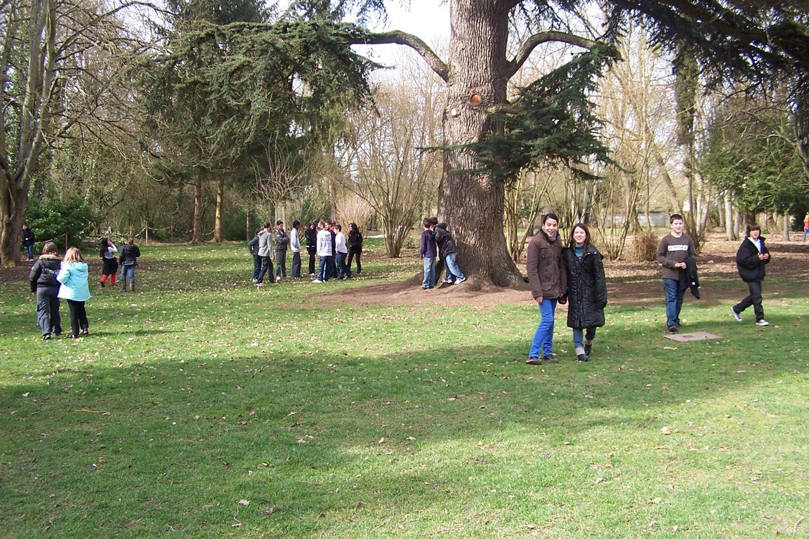 100_9173.JPG