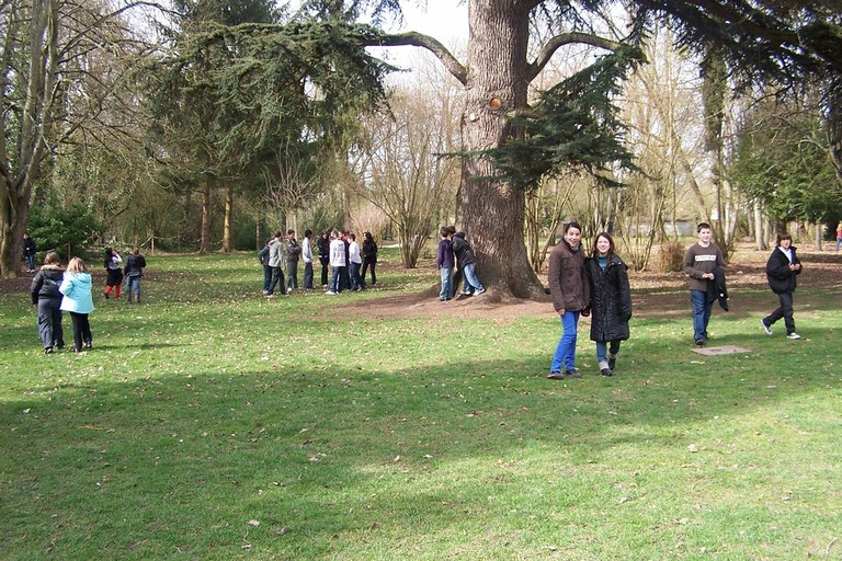 100_9173.JPG