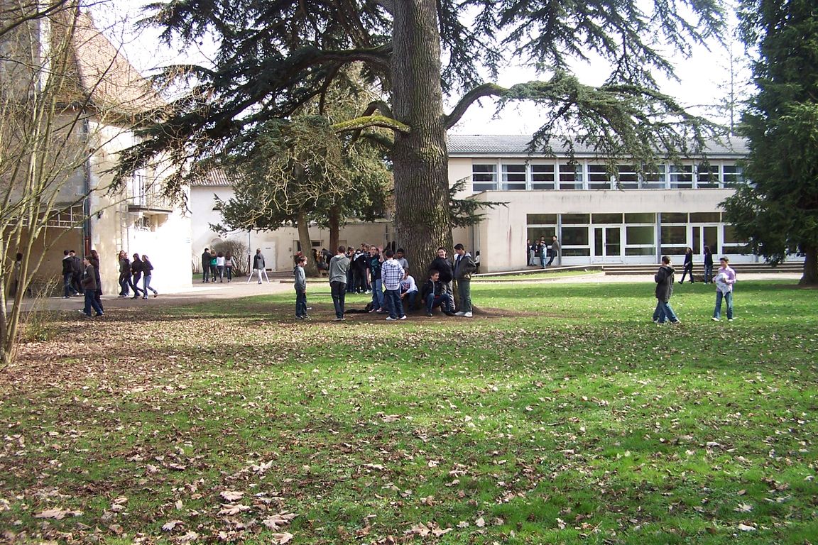 100_9174.JPG