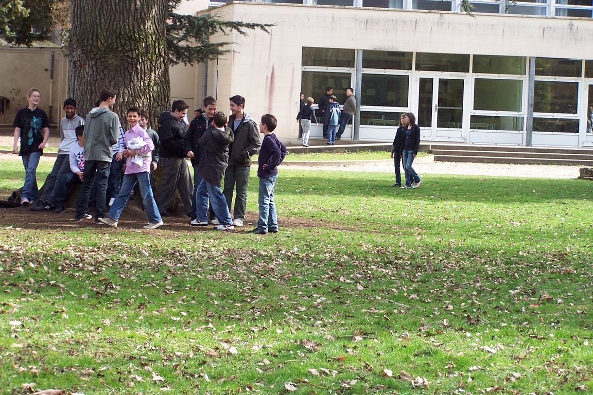 100_9175.JPG