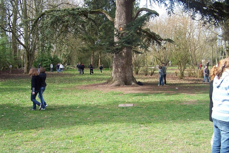 100_9176.JPG