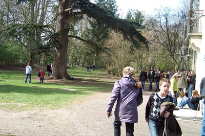 100_9178.JPG