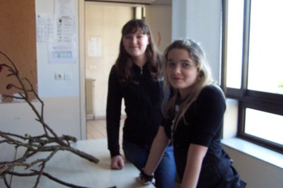 100_9203.JPG