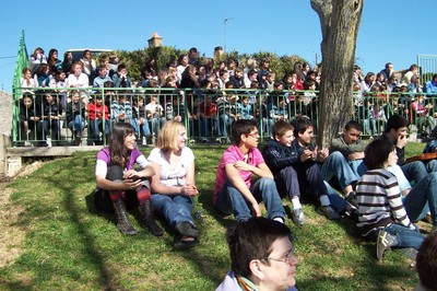 100_9239.JPG