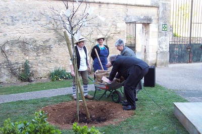 100_9296.JPG