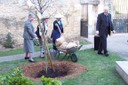 100_9302.JPG