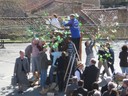 IMG_0161.JPG