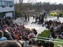 IMG_0163.JPG