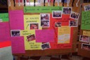 100_9373.JPG