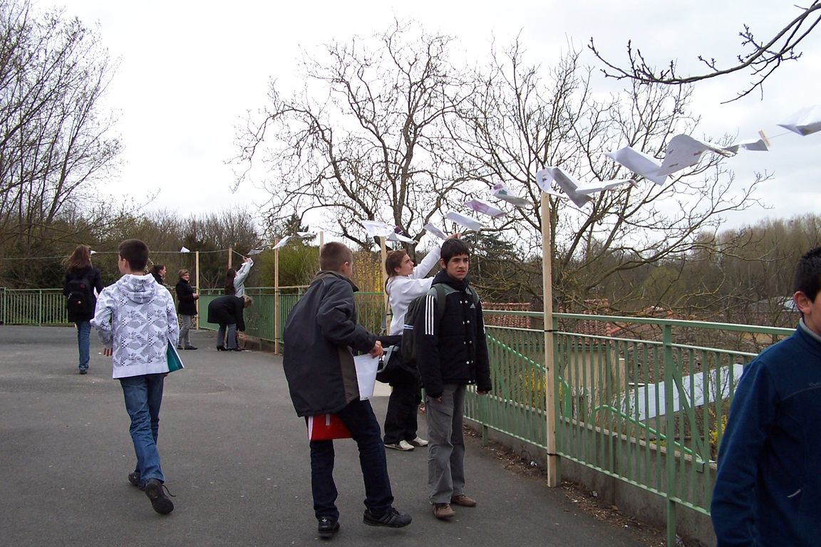 100_9473.JPG