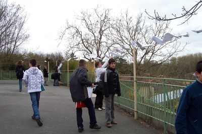 100_9473.JPG