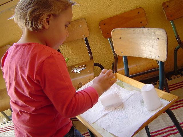 027.JPG