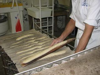 IMG_4146.JPG