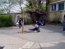 DSC03324.JPG