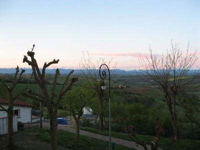 IMG_0380.JPG